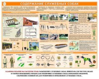 Комплект плакатов "Кинология" - fgospostavki.ru - Артёмовский