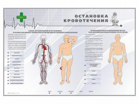 Электрифицированный стенд "Остановка кровотечения" - fgospostavki.ru - Артёмовский