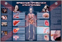 Электрифицированный стенд "Вредные привычки: алкоголизм" - fgospostavki.ru - Артёмовский