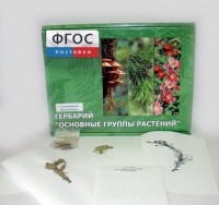 Гербарий "Основные группы растений" (52 листа) - fgospostavki.ru - Артёмовский