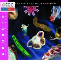 Биология. Микрофотографии. (Цифровая база изображений) - fgospostavki.ru - Артёмовский