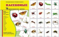 Демонстрационные карточки "Насекомые" - fgospostavki.ru - Артёмовский