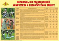 Плакат "Нормативы по радиационной, химической и биологической защите" - fgospostavki.ru - Артёмовский