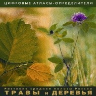 Растения средней полосы России "Травы и Деревья". (Цифровые атласы-определители) - fgospostavki.ru - Артёмовский