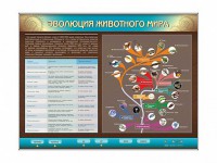 Интерактивный электрифицированный стенд "Эволюция животного мира" - fgospostavki.ru - Артёмовский