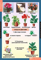 Комплект таблиц. Окружающий мир 1 класс. - fgospostavki.ru - Артёмовский