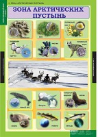 Комплект таблиц. Окружающий мир 4 класс. - fgospostavki.ru - Артёмовский