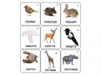 Набор магнитных карточек по музыке "Животные" (9 штук) - fgospostavki.ru - Артёмовский