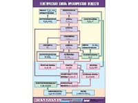 Таблица демонстрационная "Генетическая связь органических веществ" (винил 100x140) - fgospostavki.ru - Артёмовский