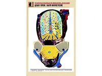 Рельефная таблица "Долька печени. Макро-микростроение" (формат А1, матовое ламинирование) - fgospostavki.ru - Артёмовский