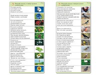 Комплект карточек (10) "Обучающий калейдоскоп. Природа" - fgospostavki.ru - Артёмовский