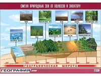 Таблица демонстрационная "Смена природных зон от полюсов к экватору" (винил 70*100) - fgospostavki.ru - Артёмовский