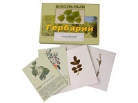 Гербарий "Деревья и кустарники" (22 вида, с иллюстрациями) - fgospostavki.ru - Артёмовский