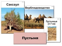 Модель-аппликация "Природные зоны России" (ламинированная) - fgospostavki.ru - Артёмовский