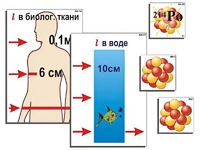 Модель-аппликация "Явление радиоактивности" (ламинированная) - fgospostavki.ru - Артёмовский