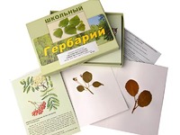 Гербарий "Систематика растений. Семейство Розоцветные" (раздаточный) - fgospostavki.ru - Артёмовский