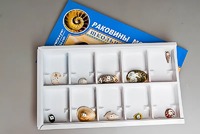 Коллекция "Раковины моллюсков" - fgospostavki.ru - Артёмовский