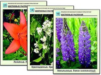 Гербарий фотографический "Основные группы растений" - fgospostavki.ru - Артёмовский