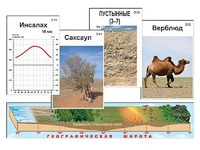 Модель-аппликация "Природные зоны" - fgospostavki.ru - Артёмовский