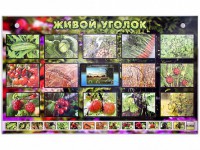 Комплект оборудования "Живой уголок" (растения) с тифлопереводом и сурдокомментариями - fgospostavki.ru - Артёмовский