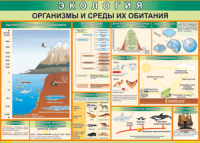 Таблица "Организмы и среды их обитания" (100х140 сантиметров, винил) - fgospostavki.ru - Артёмовский