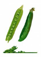 Комплект карточек "Запоминай, играй, считай" -  Овощи - fgospostavki.ru - Артёмовский