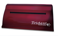 Принтер для печати рельефно-точечным шрифтом Брайля Trident - fgospostavki.ru - Артёмовский