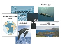 Модель-аппликация "Океаны. Знакомство" (ламинированная) - fgospostavki.ru - Артёмовский