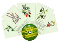 Интерактивный наглядный комплекс "Гербарий "Для начальной школы" - fgospostavki.ru - Артёмовский