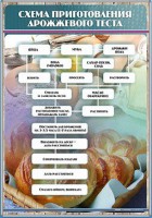 Стенд "Схема приготовления дрожжевого теста" - fgospostavki.ru - Артёмовский