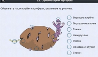 Интерактивные курсы. Биология 6 класс. Расширенный - fgospostavki.ru - Артёмовский