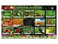 Комплект оборудования "Живой уголок" (растения) - fgospostavki.ru - Артёмовский