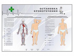 Электрифицированный стенд "Остановка кровотечения" - fgospostavki.ru - Артёмовский