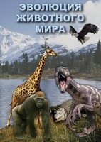 DVD "Эволюция животного мира" - fgospostavki.ru - Артёмовский