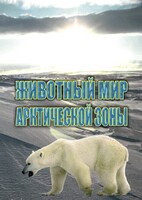 DVD "Животный мир Арктической зоны" - fgospostavki.ru - Артёмовский