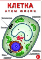 DVD "Клетка - "атом жизни" - fgospostavki.ru - Артёмовский
