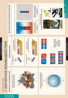 Комплект таблиц. Физика. Магнитное поле. - fgospostavki.ru - Артёмовский