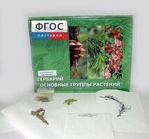 Гербарий "Основные группы растений" (52 листа) - fgospostavki.ru - Артёмовский