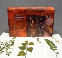 Гербарий для Начальной школы (28 видов) - fgospostavki.ru - Артёмовский