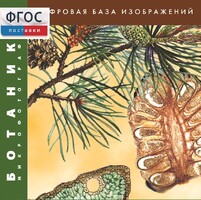 Ботаника. Микрофотографии. (Цифровая база изображений) - fgospostavki.ru - Артёмовский