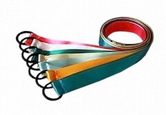 Лента гимнастическая на кольце (0,5 метра) - fgospostavki.ru - Артёмовский