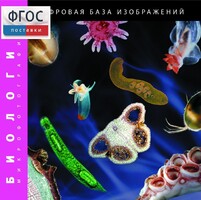Биология. Микрофотографии. (Цифровая база изображений) - fgospostavki.ru - Артёмовский