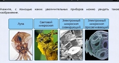 Интерактивные курсы. Биология 5 класс. Расширенный - fgospostavki.ru - Артёмовский