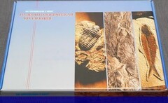 Коллекция "Палеонтологическая" (16 образцов) - fgospostavki.ru - Артёмовский
