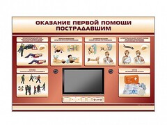 Многофункциональный интерактивный стенд-тренажер "Оказание первой помощи пострадавшим" для учащихся общеобразовательных учреждений - fgospostavki.ru - Артёмовский