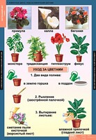 Комплект таблиц. Окружающий мир 1 класс. - fgospostavki.ru - Артёмовский
