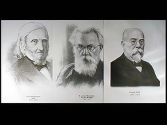 Портреты биологов (26 штук, формат А3) - fgospostavki.ru - Артёмовский