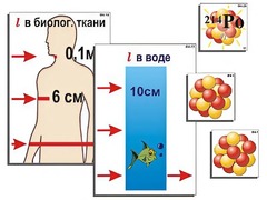 Модель-аппликация "Явление радиоактивности" (ламинированная) - fgospostavki.ru - Артёмовский