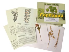 Гербарий "Систематика растений. Семейство Бобовые. Злаки" (раздаточный) - fgospostavki.ru - Артёмовский