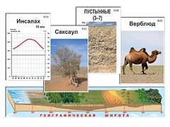 Модель-аппликация "Природные зоны" - fgospostavki.ru - Артёмовский